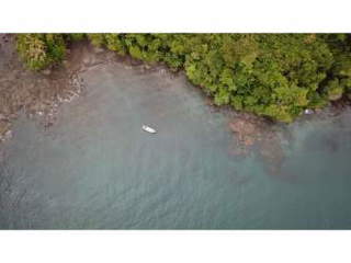 Waterfront Land for Sale in Isla Cebaco - 0 bedrooms