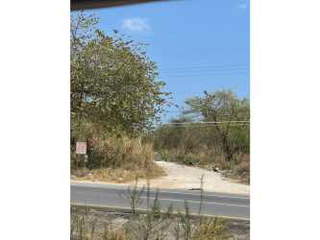 Land for Sale in Antón - 0 bedrooms