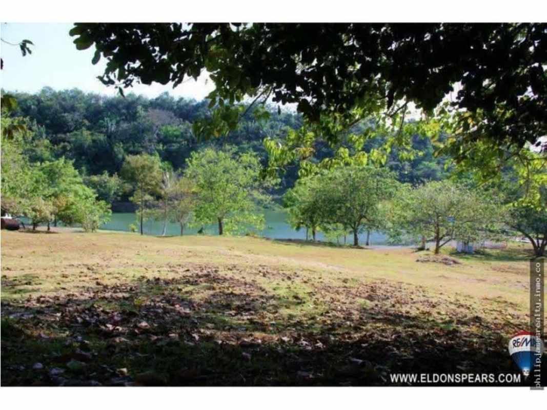Open grassy area with trees overlooking lake in Brisas de los Lagos La Chorrera