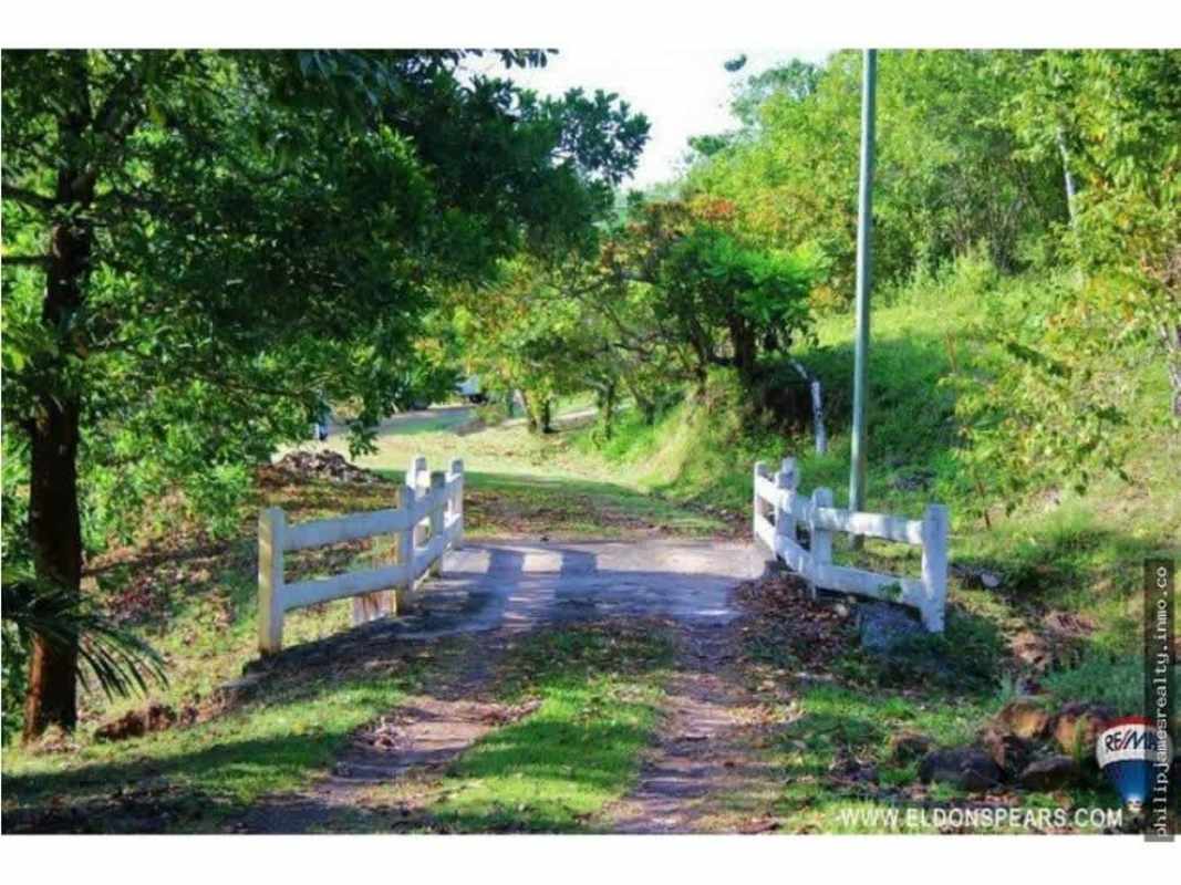 Aerial photo of large forested lot marked surrounded by natural greenery in Panama