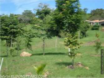 Large Residential Lot Trinity Hills Valley Mountain View