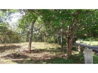 Vacant plot with trees and open clearings near the Pacific Ocean in Panama