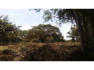 Land for Sale in San José - 0 bedrooms