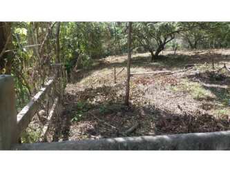 Subdividable development site close to beachline with trees and cleared zones