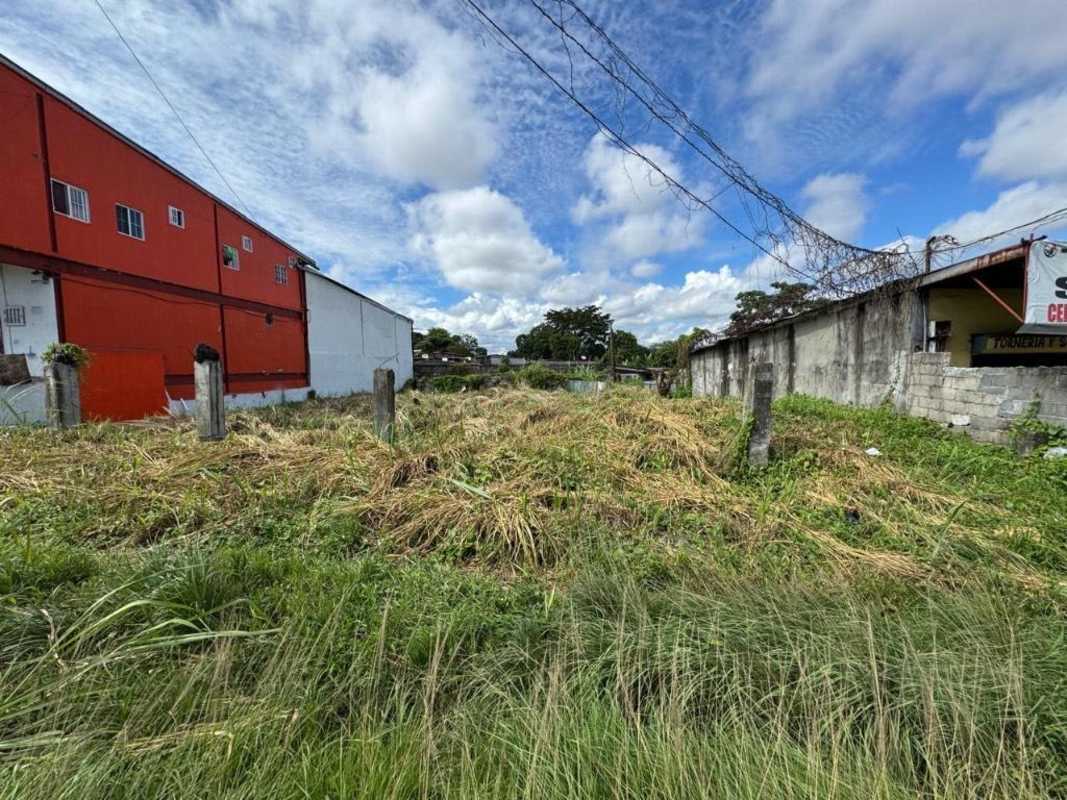 550m2 vacant commercial lot next to red building and concrete wall in busy Panama City neighborhood