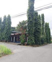 Covered front porch with garden and potted plants in Los Algarrobos Chiriquí