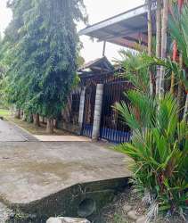 Secure gated entrance driveway and landscaping David Chiriquí Panama