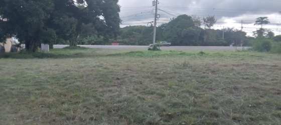 Grassy vacant roadside lot ideal for commercial warehouse or plaza Penonomé Coclé
