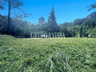 Open grass field with dense tree line mountains behind Altos del María Panama
