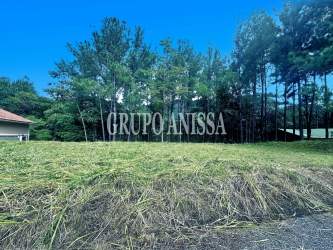 Clear building site next to surrounding woodland mountain community Altos del María