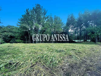 Wooded residential lot with mountain and forest view in Altos del María Panama