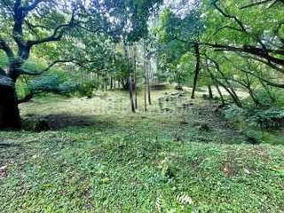 Land for Sale in Chame - 0 bedrooms
