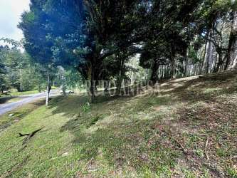 Gently sloped wooded lot in scenic mountain community Altos del Maria Panama