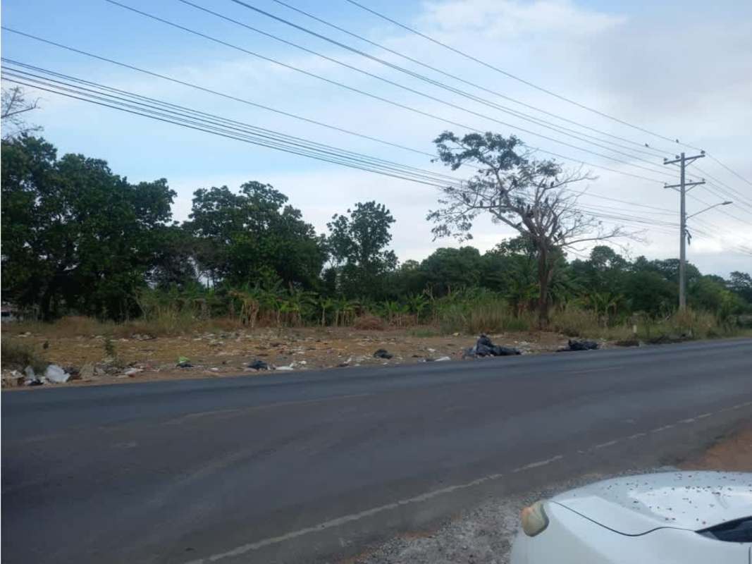 Open commercial-industrial vacant lot with trees and paved roadside Cabra Pacora Panama