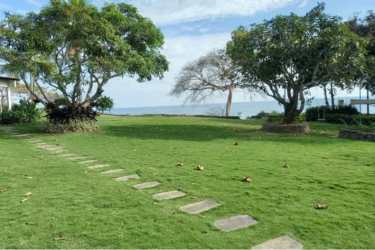 Aerial of beachfront property with greenery and multiple homes outlined Bijao Rio Hato Panama