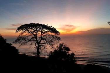 Lush green lawn meets Pacific shore at beachfront land Bijao Rio Hato Panama