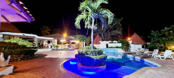 Night-lit tropical swimming pool palm trees loungers at private beach villa Panama