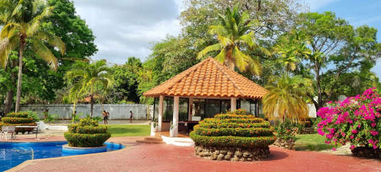 Tropical backyard gazebo lush landscaping pool flower bushes luxury vacation rental Panama