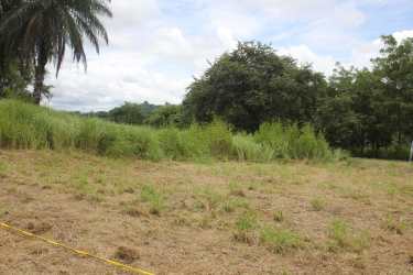 Vacant land parcel with tall grass, trees on border, sky view in Azuero region