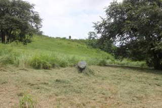 Land for Sale in Tonosí - 0 bedrooms