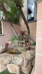 House for Sale in Juan Díaz - 4 bedrooms