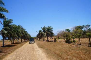 Drone view of oceanfront estate with villa, bohio, pool and extensive farmland