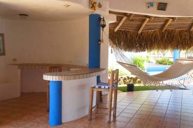 Palm trees overlooking Pacific on oceanfront land Pedasi Los Santos Panama