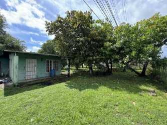 Width of commercial lot flat along Panamericana with trees in background in Coloncito