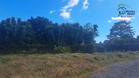 Vacant lot with green grass, mature trees and open sky for building project in Volcán Chiriquí