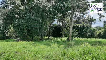 Native wooded residential plot with grass opening and access road in Volcán David Chiriquí
