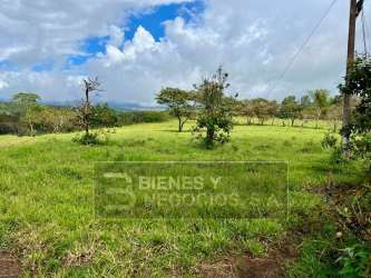 Open flat green field with utility pole and sky view in Potrerillos Arriba