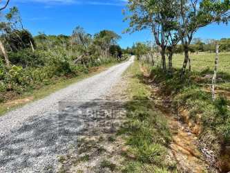 Rural gravel access road surrounded by green pasture and trees beneath blue sky