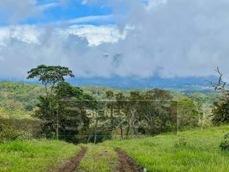 1-Hectare Scenic Land in Potrerillos Chiriqui Panama