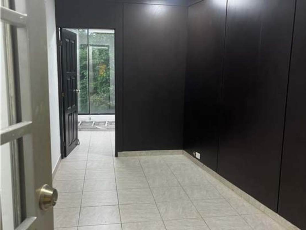 Office room with floor length windows, nature views, wood desks in Panama City