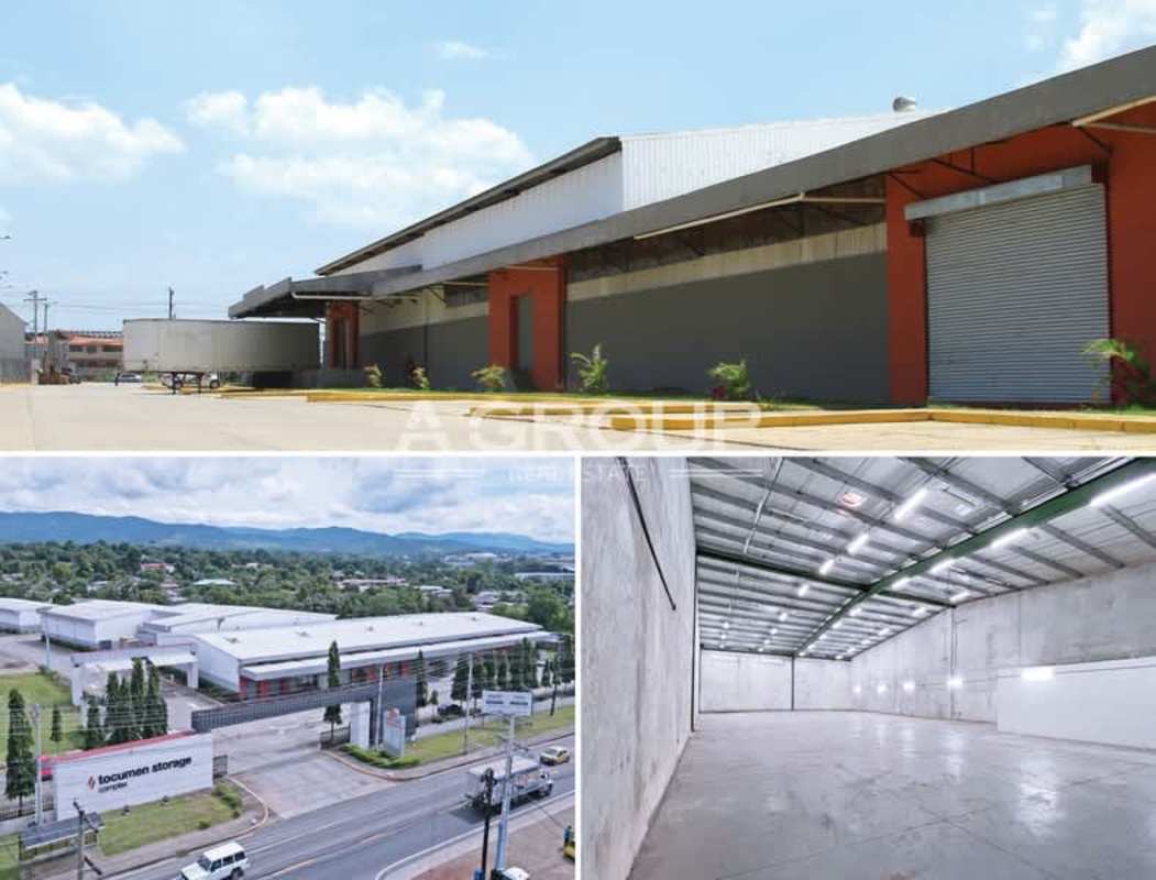 Spacious warehouse interior at Tocumen Storage Complex with high ceilings and wide loading bay