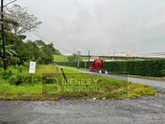 Gravel road with green hedge and truck by commercial land near Federal Mall David Chiriquí