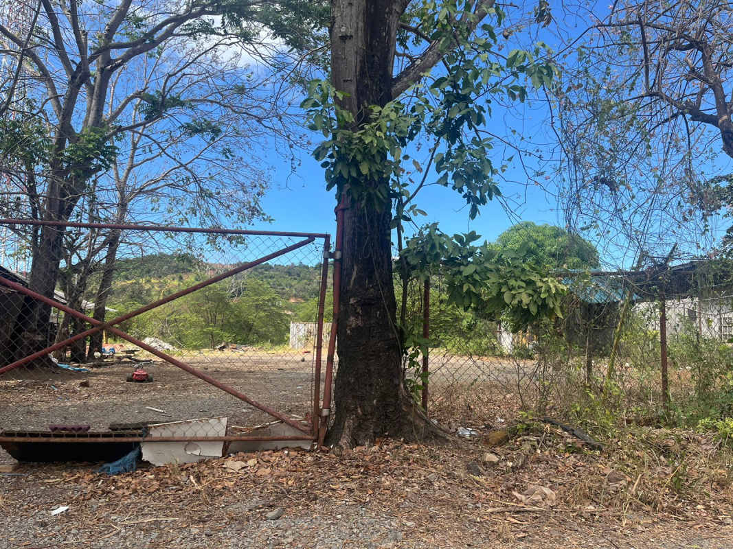 Vacant roadside property shaded by trees with utility poles Tocumen Panama