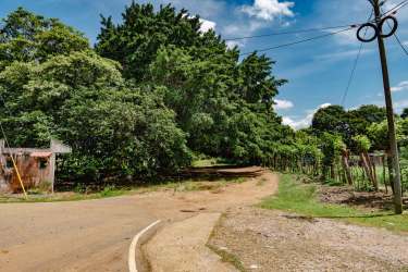 Dirt road curving into farmland wooded landscape in Panama