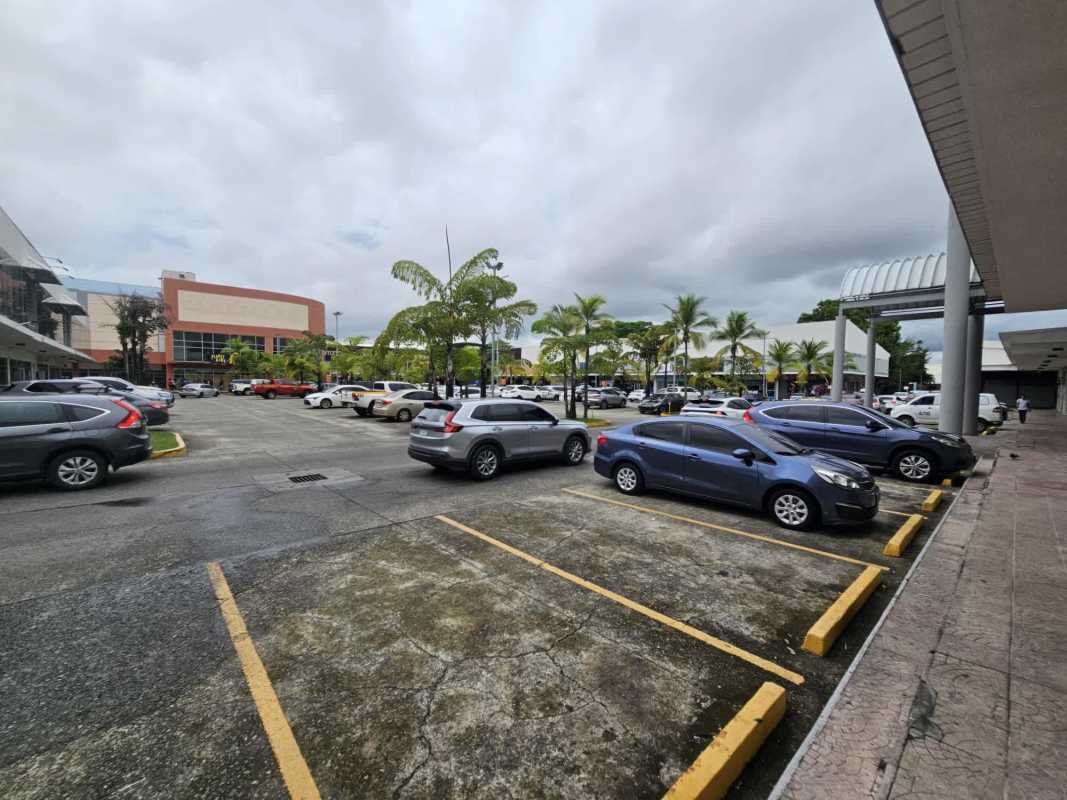Palm trees and parked cars at commercial shopping center in Los Pueblos, Panama City