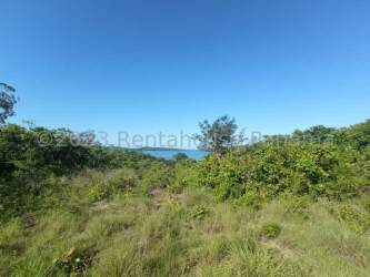 Natural landscape with coastal vegetation and distant ocean over Gulf of Chiriqui