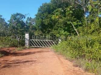 Rustic dirt road and gate leading to forested beachfront property in Panama