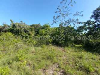 Vacant natural land with dense greenery under blue sky near Gulf of Chiriqui Panama
