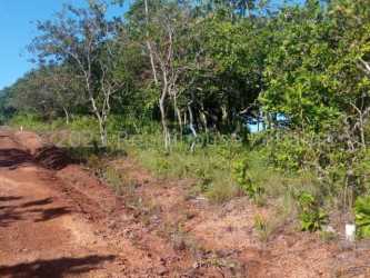 Dense tropical forest and vegetation on coastal land Gulf of Chiriqui Panama