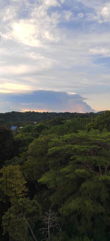 Scenic lush mountain landscape view from apartment balcony PH Urbis Tower Edison Park Panama