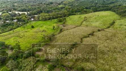 Green open farmland with surrounding trees perfect for agriculture in Santa Rita Boquerón Chiriquí Panama