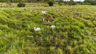 Farm / Agricultural Land for Sale in Santa Rita - 0 bedrooms
