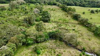 Agricultural Land for Sale in Guayabal - 0 bedrooms