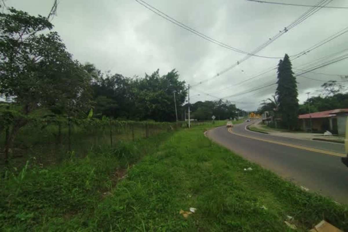 Rural curved road adjacent to fenced commercial lot with utility lines and trees in Pedregal Panama