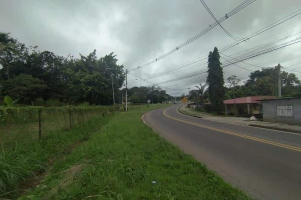 Flat commercial land corner in Villalobos Pedregal with trees and fencing Panama City