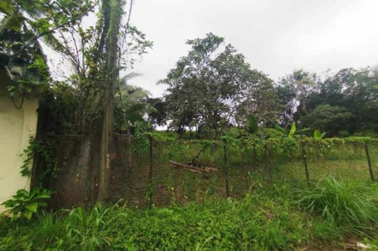Green fenced vacant commercial lot with trees corner Pedregal Villalobos Panama